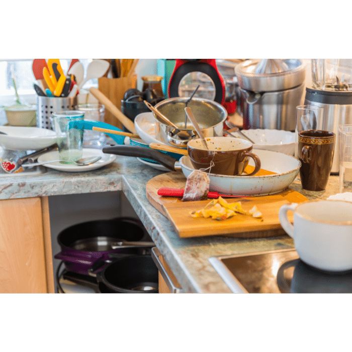 Professional cleaning services for super messy kitchen and messy house
