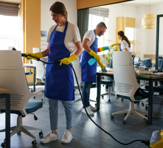 female cleaning homes