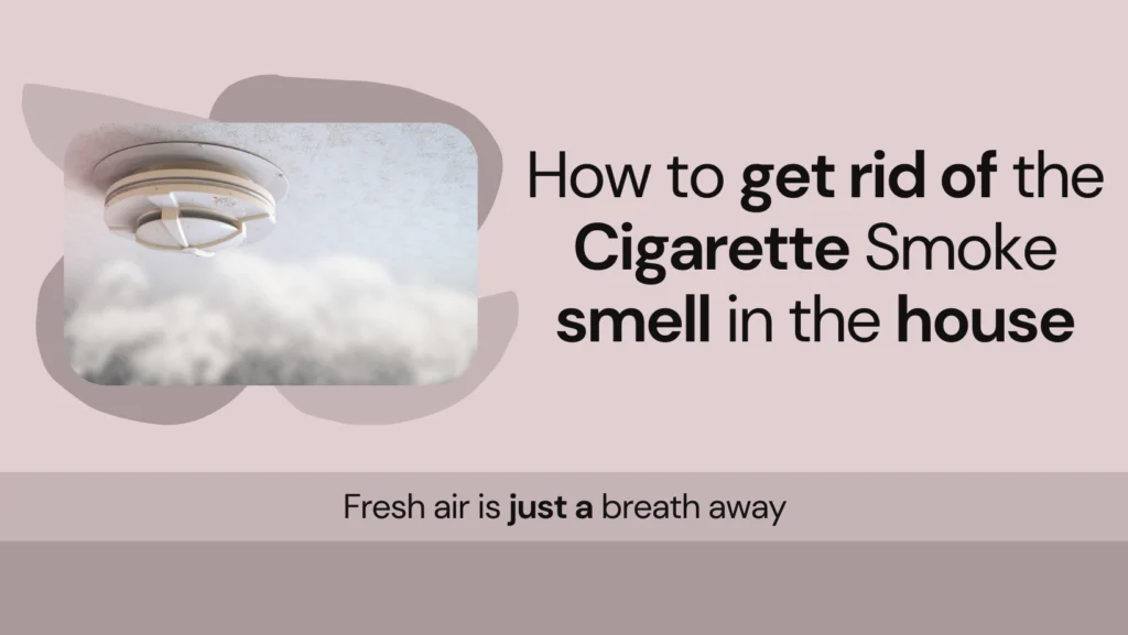 Are you still unable to get rid of the smell of smoke in your house because of the lingering cigarette smoke smell? There are solutions now!