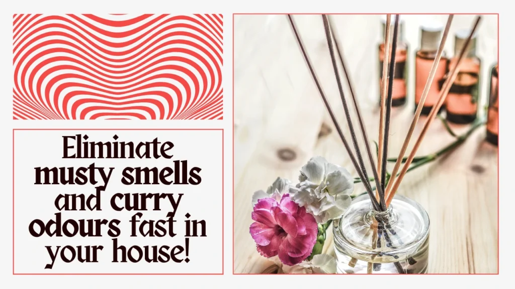 how to get rid of curry smell eliminate remove musty in my house