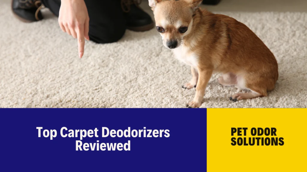 the best powder carpet deodorizers for pets odours