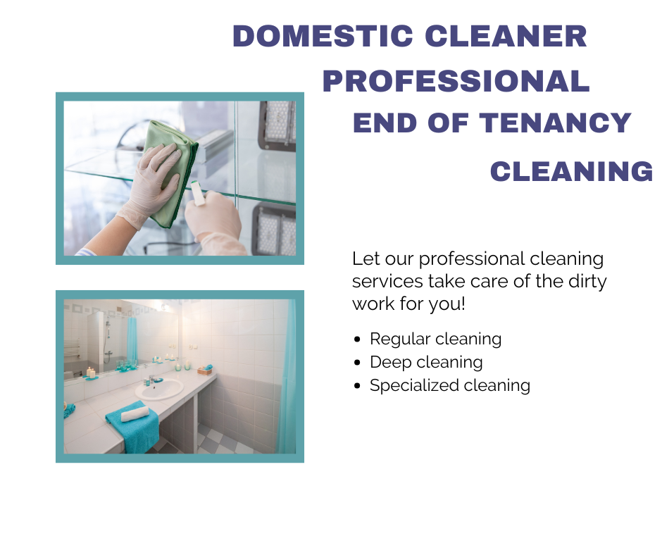Domestic profesional end of tenancy house cleaning in the of city of London Domestic profesional end of tenancy house cleaning in the of city of London